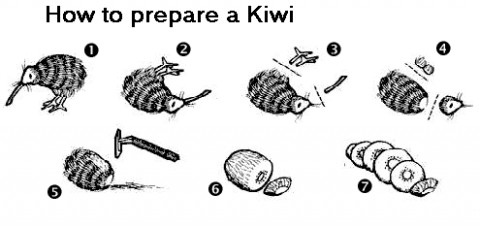Kiwi.jpg