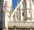 Regensburger Domspatz begruesst die heilige Maria Tudor.jpg