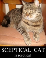 Sceptical Cat.jpg