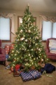 Christmastree.jpg