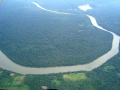 Amazonas Regenwald.JPG