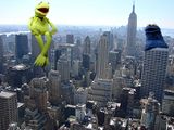Kermit in New York.jpg