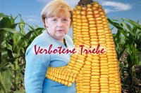 Merkel und der Mais.jpg