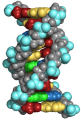 Molekuelstruktur.png