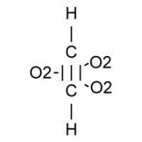 Schematische Darstellung des Cannonium-Moleküls