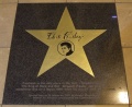 Elvis Star.jpg