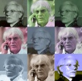 Bernie Warhol.jpg