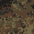Camouflage.jpg