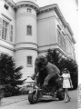 Bundesarchiv B 145 Bild-F032368-0008, Bonn, Elefant vor Bundeskanzleramt.jpg