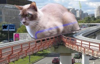 Monorail-Cat.jpg